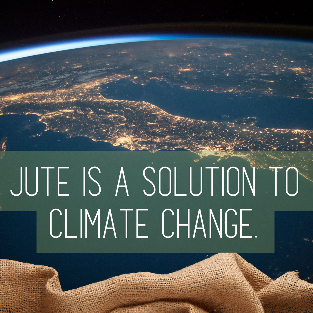 Jute is a solution of climate change